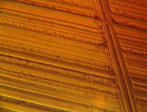 Aluminum foil as imaged by an optical microscope.