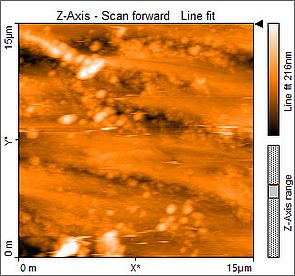 Penny as imaged by an AFM.