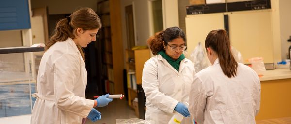 Cell Culture Lab Image