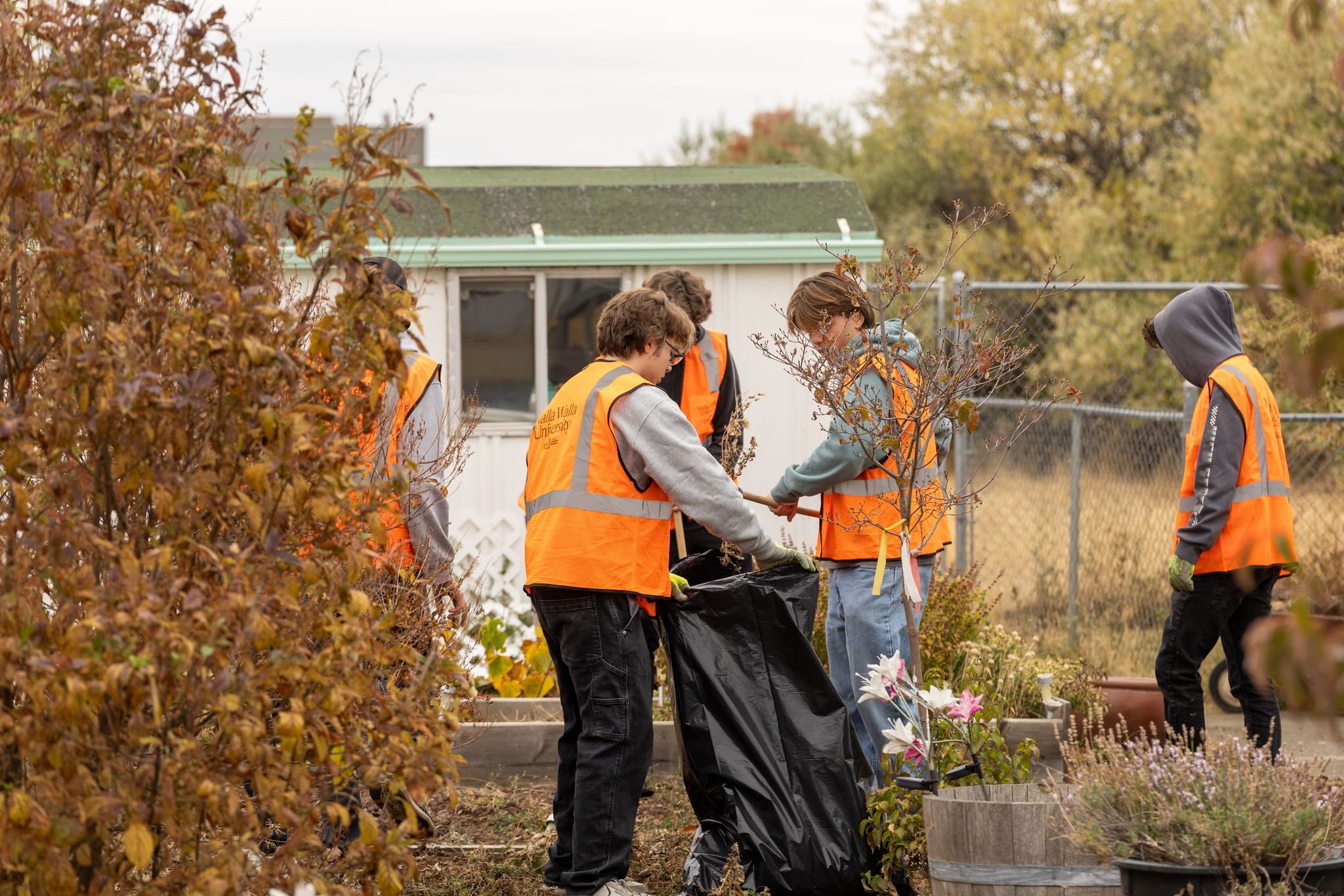 Group of individuals wearing orange vests cleaning up yard waste.