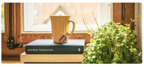 A mug of tea sits on a stack of books in a window sill next to a green plant.