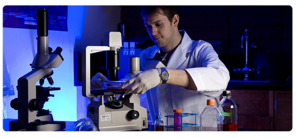 Biologist performs research using a microscope