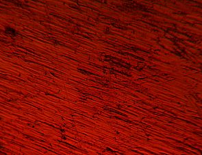 Penny as imaged by an optical microscope.