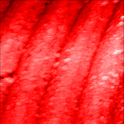 DVD+R image from STM.