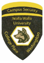 Fire and Safety report